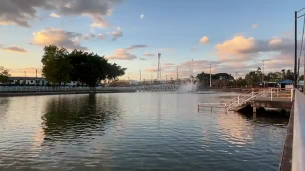 Gölge Banyan Ağacı Adanın Göbeğinde Akşam Vakti — Stok video