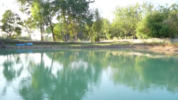 Cavando Uma Lagoa Peixes Jardim — Vídeo de Stock