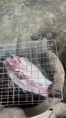 Kömür ocağında ızgara yılan kafalı balığın pişirildiği geleneksel Tayland yemeği videosu. Otantik Tayland sokak yemekleri dumanlı aroma, kırsal aşçılık metodu, yerel mutfak ve kırsal gıda kültürü konsepti..