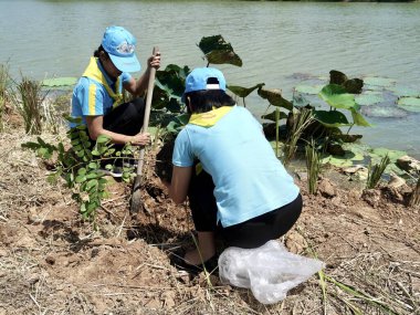 Gönüllü ağaç dikme faaliyeti, 16 Ocak 2024, Buriram Tayland.