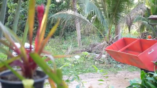 Buriram Thailand Februar 2024 Vater Bauer Düngt Zuckerrohrfelder Kubota Traktor — Stockvideo