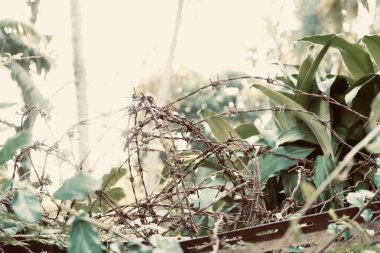 Dikenli tel örgüler. Demir pas, doğa bahçesinde yapışır..