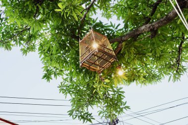 Retro lamba kuş evi dekorasyonu açık hava ağaç ev arka planı.