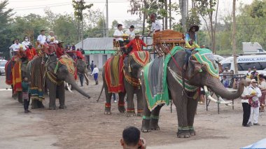Tayland halkı, fil ve mahout geçit töreni Pavyonu Lahansai Tapınağı, 31 Ocak 2024, Buriram Tayland.