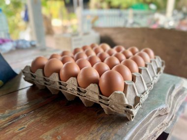 Kağıt yumurta tepsisi, yumurta kabuğu tavuk organik sağlıklı yiyecekler..