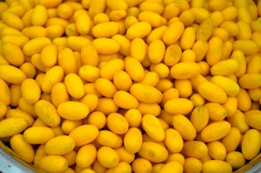 İpek böceği kozası. Doğal, sarı ipek böceği kozaları. Altın ipek böceği kozaları. Bu ipek iplik ve ipek kumaş kaynağı, Tayland ipeği Buriram..