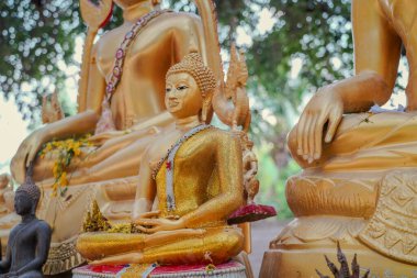 Tayland tapınağındaki Wat Nongtakrong Parkı 'nda Buda Heykeli banyan ağacı geçmişi, Tayland' daki Sonkran festivali günü.