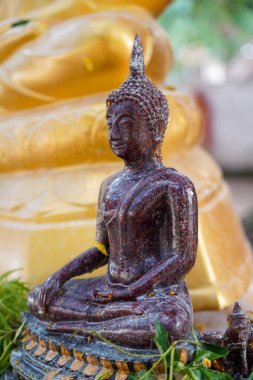 Tayland tapınağındaki Wat Nongtakrong Parkı 'nda Buda Heykeli banyan ağacı geçmişi, Tayland' daki Sonkran festivali günü.