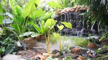 Suni şelale ve balık havuzu içeren yemyeşil bir ev bahçesinin 4K videosu. Yeşil çimenler, nemli çevre ve zengin bitki örtüsü barışçıl ve doğal bir atmosfer yaratır. Peyzaj, ev tasarımı, rahatlama ve doğa kavramları için mükemmel..