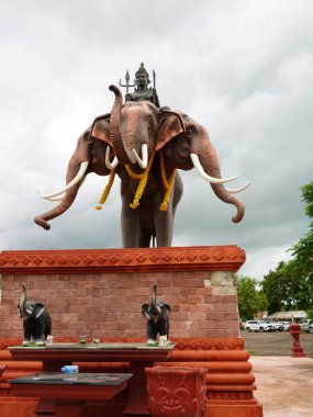 Surin Tayland, Büyük fildişi güzel fil hayvanı.