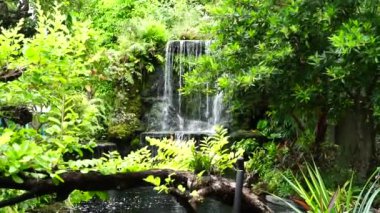 Suni şelale ve balık havuzu içeren yemyeşil bir ev bahçesinin 4K videosu. Yeşil çimenler, nemli çevre ve zengin bitki örtüsü barışçıl ve doğal bir atmosfer yaratır. Peyzaj, ev tasarımı, rahatlama ve doğa kavramları için mükemmel..