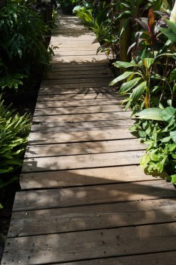 Eski ahşap köprü ve kırık ve çürük kalaslarla tropik bitki nehri boyunca uzanan tahta merdivenler..