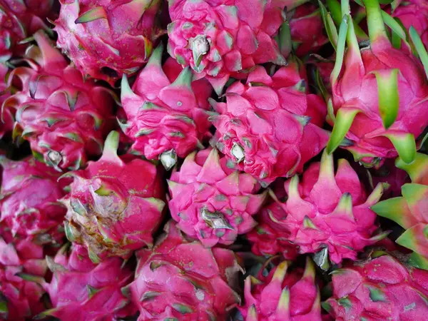 stock image dragon fruit , Pitaya dragon fruit orchard outdoor natural shelve at community market street.