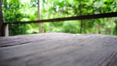 Su üzerindeki ahşap palet köprüsünün yemyeşil pirinç tarlasında 4K videosu. Kırsal yaşam tarzı, huzurlu kırsal atmosfer, doğal manzara ve Tayland tarım arazilerindeki basit yaşam. Seyahat, doğa ve kültürel temalar için mükemmel..