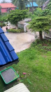 4K yağmur videosu yemyeşil çimenlerin ve ağaçların üzerine düşüyor, üst kattaki bir pencereden çekilmiş. Sakin doğal manzara, rahat yağmurlu gün atmosferi, doğa temaları, rahatlama, yeşillik, hava durumu için mükemmel.