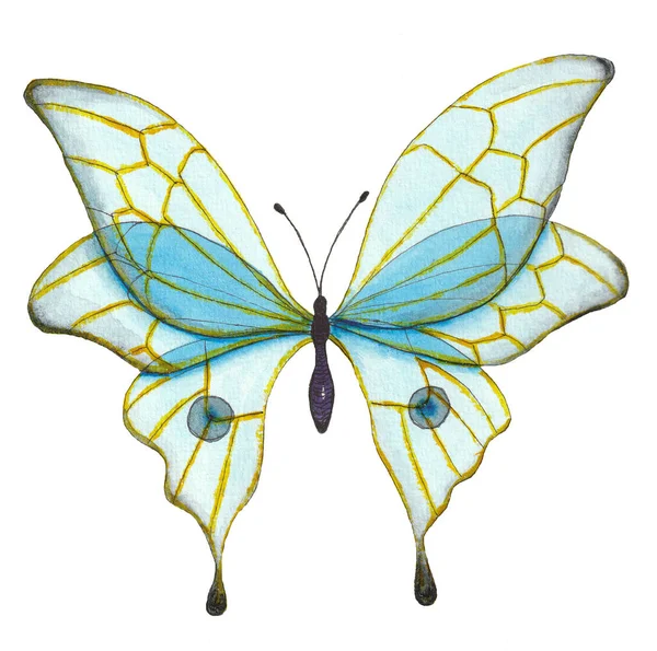 Akvarel Motýl Izolované Bílém Pozadí — Stock fotografie