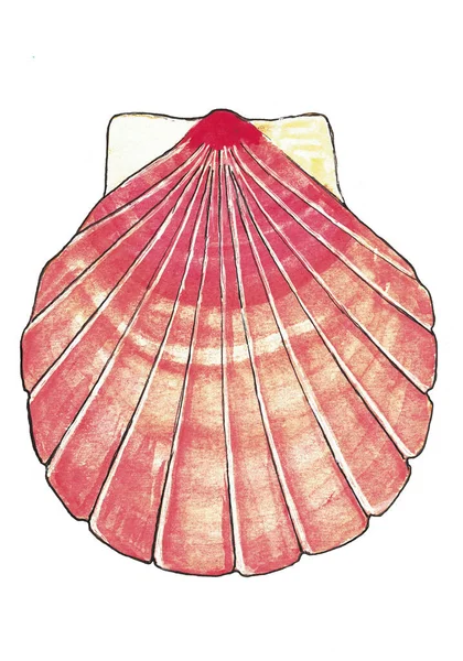 Иллюстрация Красной Морской Оболочки Изолированной Белом — стоковое фото