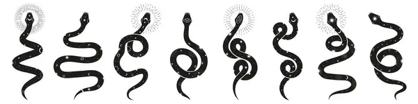 Serpiente Mística Símbolos Mágicos Serpiente Gráficos Vectoriales