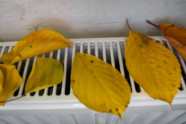 Autumn leaves on the heating radiator. On the battery to heat the house are autumn leaves from the tree. Heating season. yellow leaves on the radiator.