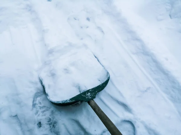 Shovel for snow cleaning. green Shovel clears the path of snow. winter work in the yard - clearing snow with a shovel for snow.