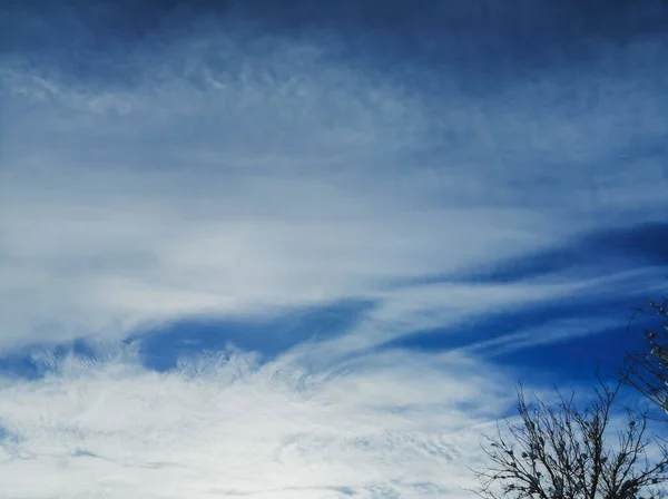 木々の上に冬の空 曇った冬の空 写真の隅には 木の最小限の部分です 冬は白い雲と青空 — ストック写真