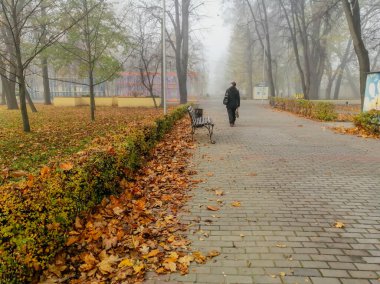 Bir adam sonbahar parkında yürüyor. Sonbahar parkında bir yürüyüş. Sonbahar yaprakları yerde ve siyah yapraklı adam. Parkta sisli bir adam var..