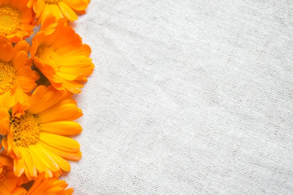 Marigold flowers on linen fabric. Calendula flowers on a light tablecloth. orange buds lie on a light fabric background.