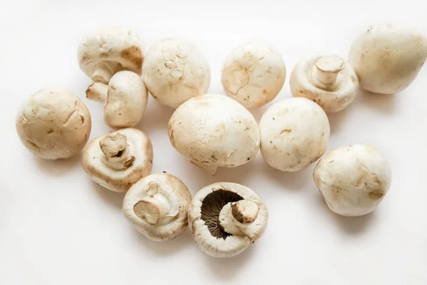 Cogumelos Sobre Fundo Branco Muitos Cogumelos São Brancos Champinhons Cogumelos — Fotografia de Stock