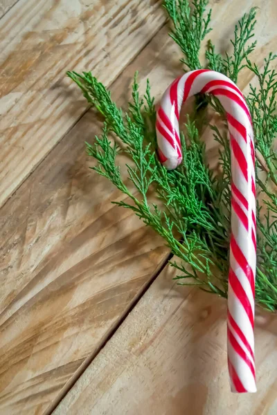 candy cane on a wooden table next to a branch of pine needles. Fir with a Christmas cane on a wooden table. Christmas composition with sweets.