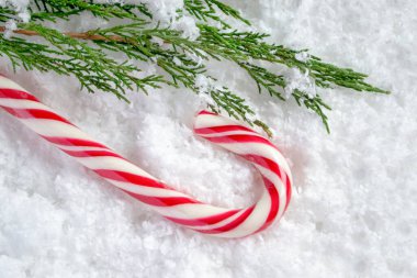 Beyaz kar üzerinde yeşil ladin dalının yanında şeker kamışı. Beyaz kar üzerinde Noel aletleri.