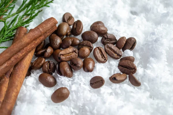 Coffee beans and cinnamon in the snow. brown coffee beans in winter with cinnamon and a branch of pine needles. A horse on white snow in winter.
