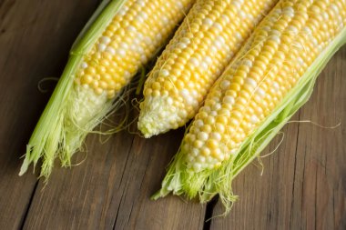 Tahta bir masada üç baş mısır yatar. Tahta bir arka planda mısır koçanları yatar. Masada taze mısır, doğanın sonbahar hediyeleri. Taze sebze..