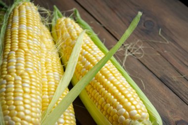 Corn cobs lie on a wooden table. Young heads of corn are bicolored. Corn with white and yellow grains in a green skin.