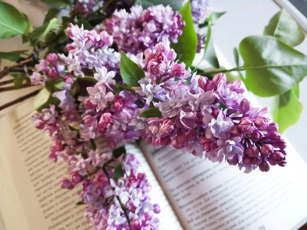 On the book is a branch of lilacs. Lilac flowers lie on an open book.