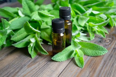 Two dark bottles lie on the leaves of lemon balm. On the mint are bottles of aromatic oil. Dark bottles with aromatic lemon balm oil.