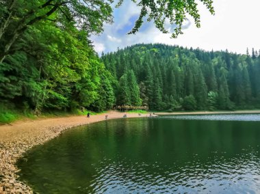 Synevyr Lake in Transcarpathia, Ukraine. Sights of Ukraine - Lake Synevyr.