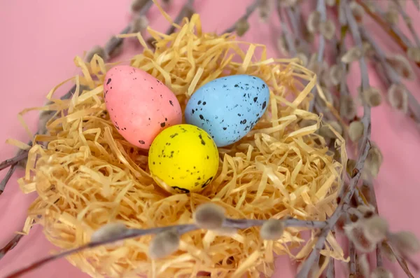 Painted eggs in a nest next to willow branches on a pink background. Beautiful decor of twigs, nests and coloured eggs. Easter holiday - painted eggs in a nest on branches.