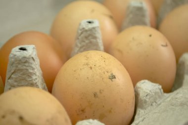 Yumurtalarla bak. Kirli yumurtalarla dolu açık bir tepsi. Çamurdaki yumurtalar yıkanmaz. Sarı yerli yumurtalar.