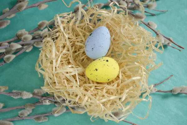 Colored eggs in a nest among the branches at Easter. The composition for PAscha is quail eggs in the nest. Among the branches of the willow is a nest with colored eggs.
