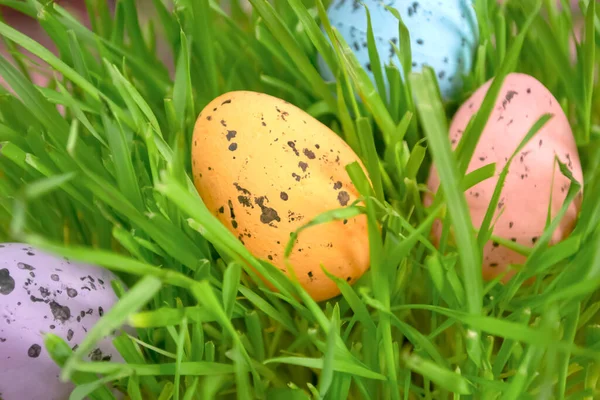Easter eggs in the grass. In the green grass lie painted eggs for Easter. Festive traditions. search for eggs in the grass at Easter.