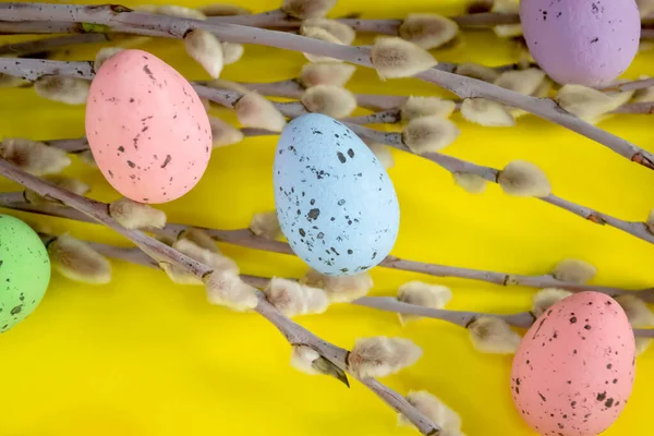 Composição Easter Ovos Pintados Salgueiro Contexto Brilhante Fundo Amarelo Encontram — Fotografia de Stock