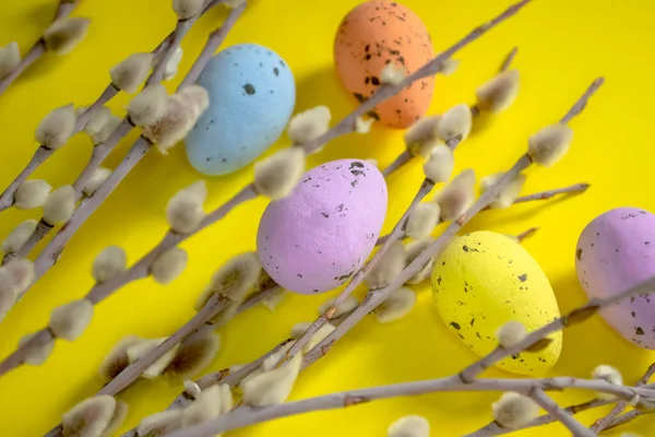 Composição Easter Ovos Pintados Salgueiro Contexto Brilhante Fundo Amarelo Encontram — Fotografia de Stock