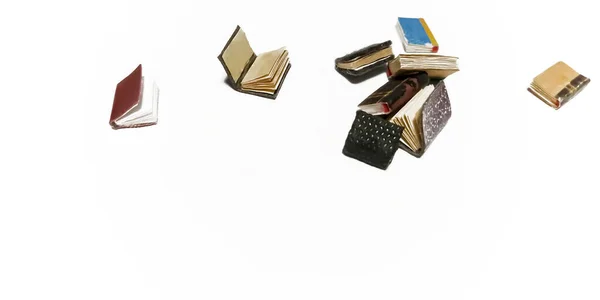 Книжки Игрушками Белом Фоне Миниатюрные Книги Белом Фоне Красивые Маленькие — стоковое фото