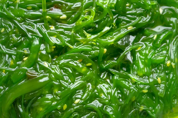 Susamlı Yosun Chuka Salatası Deniz Yosunu Marulunun Arkaplan Görüntüsü Faydalı — Stok fotoğraf