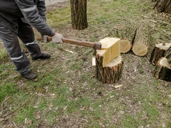 一个人砍柴 在冬天之前砍柴 斧头和木头 斧头劈柴的过程 — 图库照片