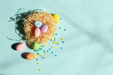 Mavi bir arka planda Paskalya yumurtaları ve sarı ve mavi kalplerin yanında bir yuva yatar. Paskalya için dekorasyon. Yuvadaki Paskalya için lezzetli bıldırcın yumurtası katmanı boyası.