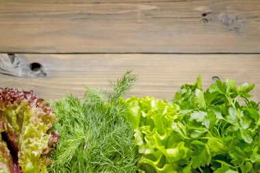 Marul yaprakları kırmızı ve yeşildir, maydanoz ve dereotlu. Yiyecek için yararlı bahar mahsulleri.