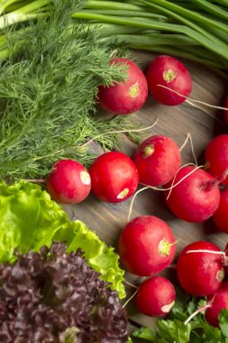 Tahta bir masada turp, marul, maydanoz, dereotu ve soğan. Doğanın bahar hediyeleri - salata için faydalı sebzeler. Bahar sebzeleri ve yeşilliklerin parlak renkleri,