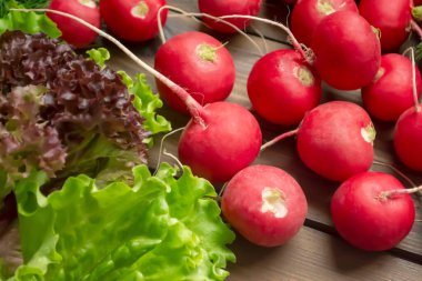 Tahta bir masada turp ve marul. Mevsimlik vitaminler, turplar ve bahçeden yeşil salata. Baharda sağlıklı sebzeler.