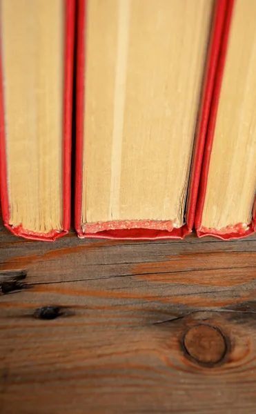 Αγκάθια Των Βιβλίων Κόκκινο Εξώφυλλο Τρία Βιβλία Στέκονται Δίπλα Δίπλα — Φωτογραφία Αρχείου
